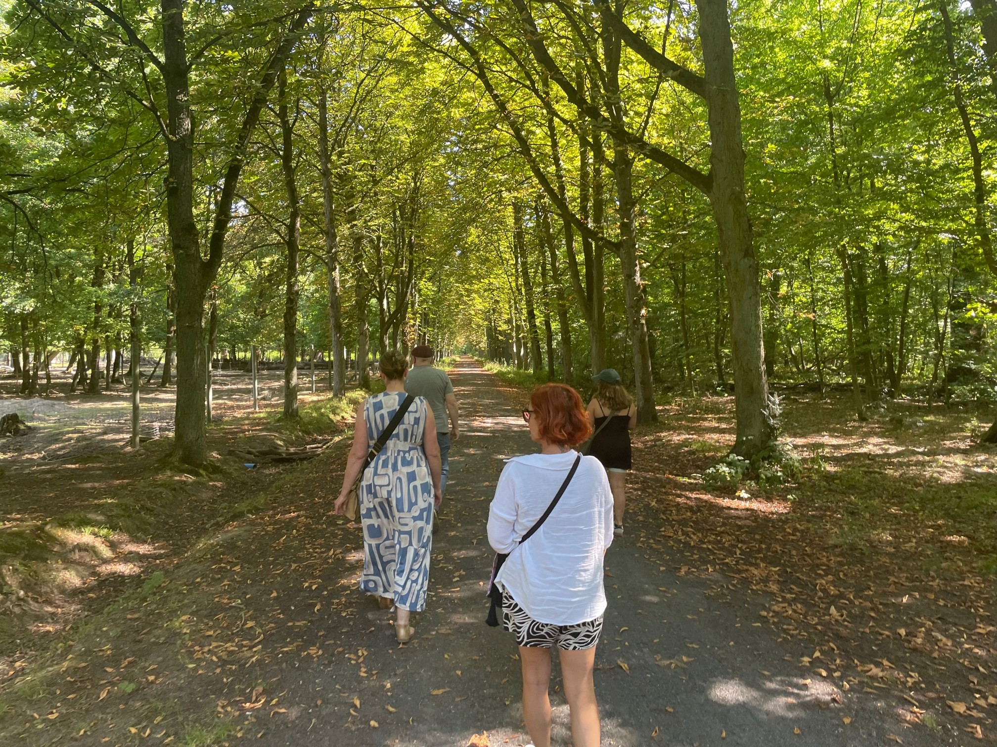 Das Bild zeigt eine Gruppe der DIAPP beim Waldbaden.