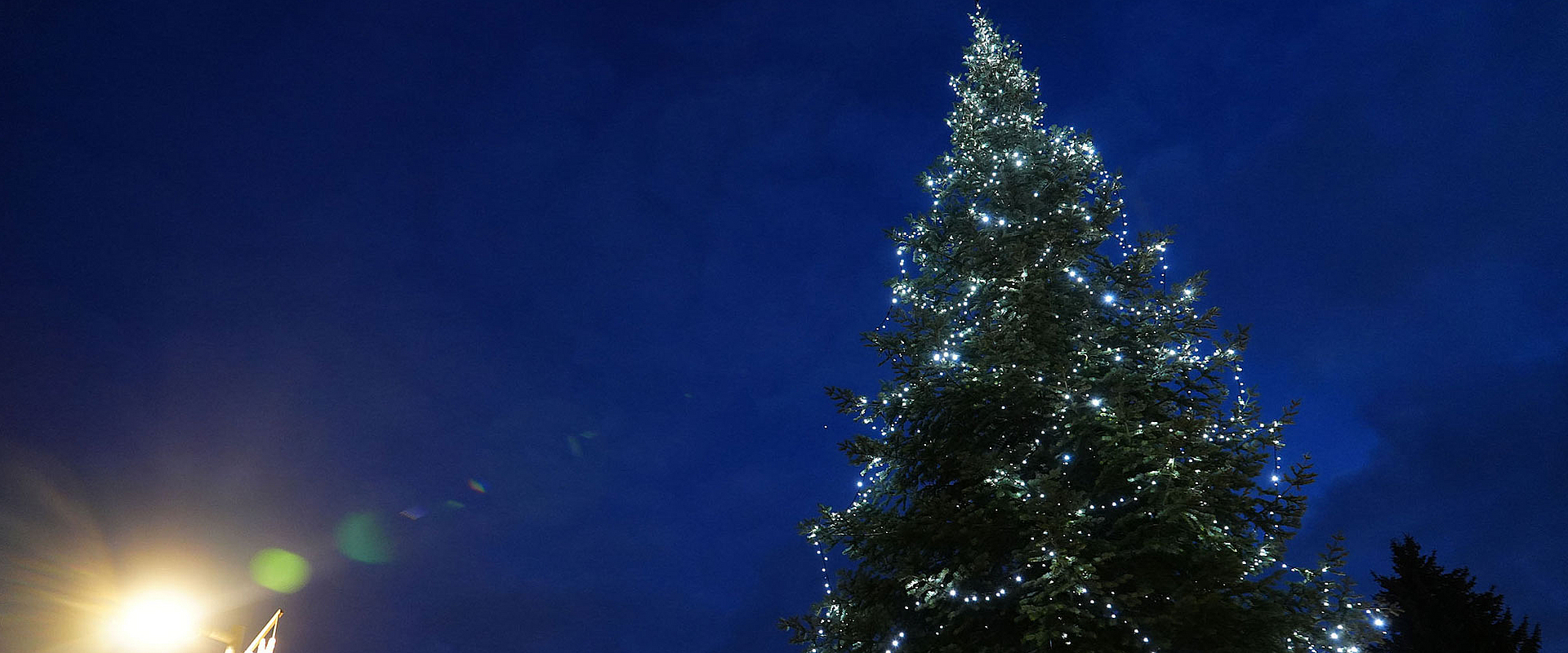 Weihnachtsbaum Neuerkerode