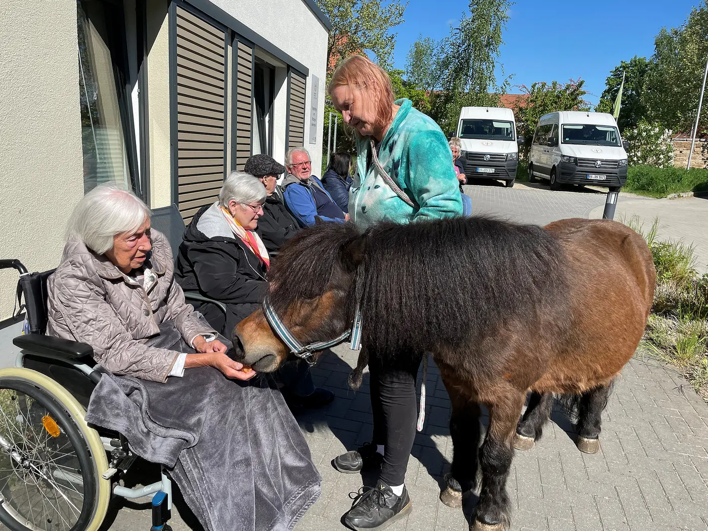 Pony Beienrode