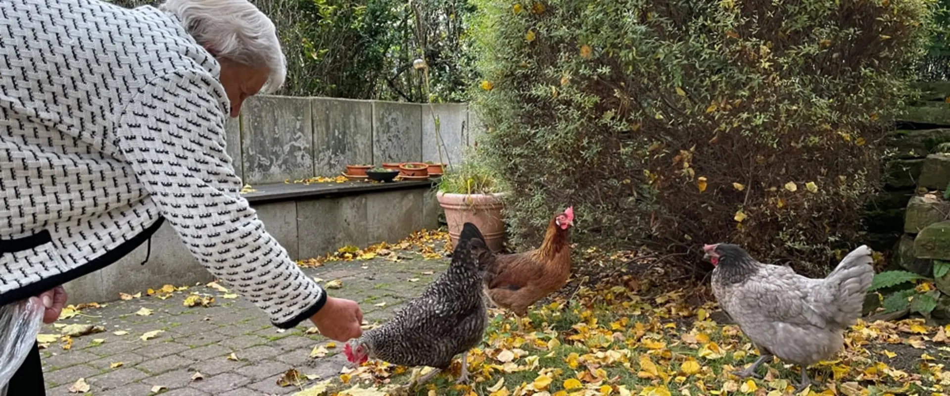 Edeltraut Bußmann und ihre Hühner in Beienrode