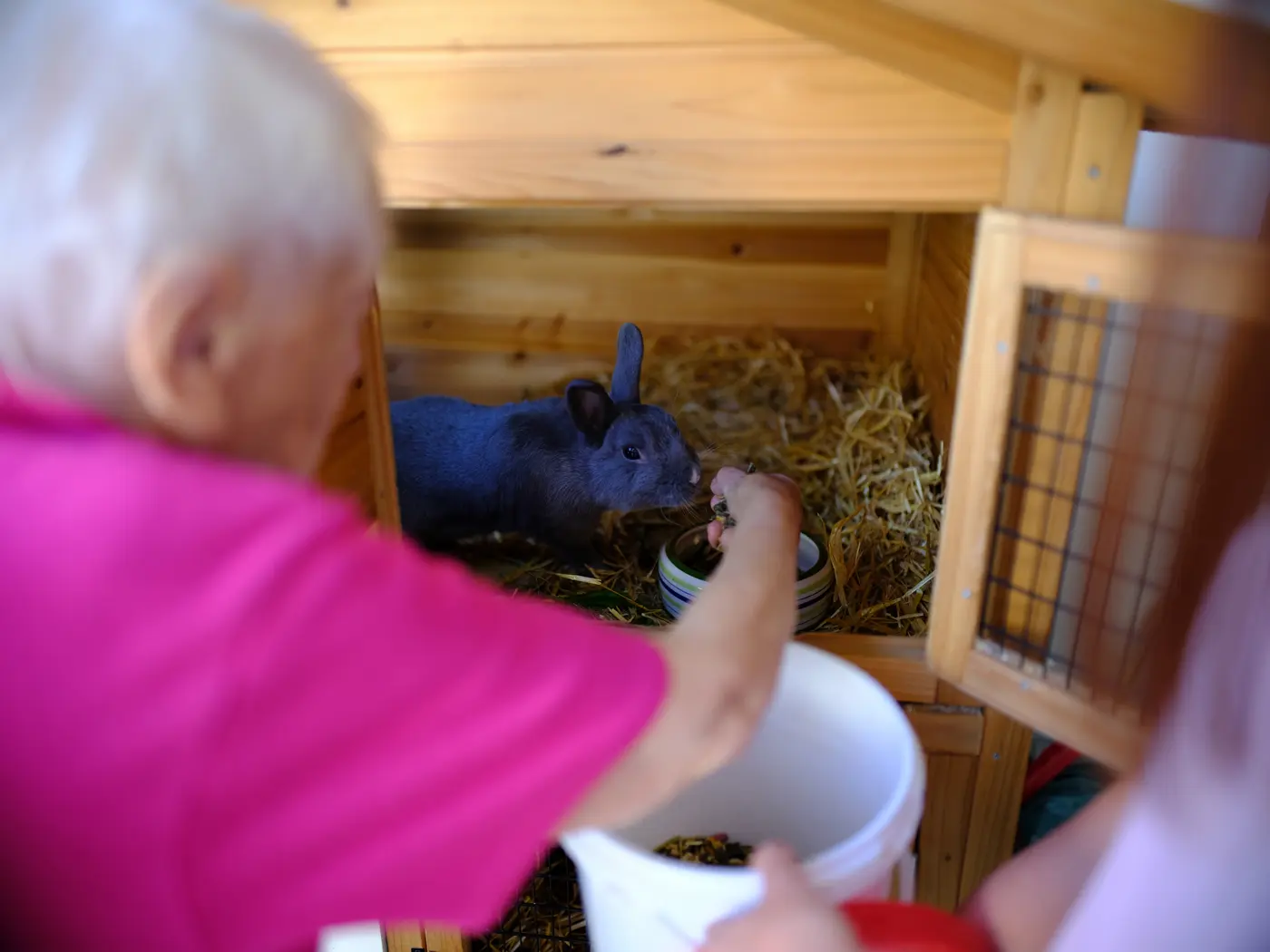 Senioren kümmert sich um die Kaninchen