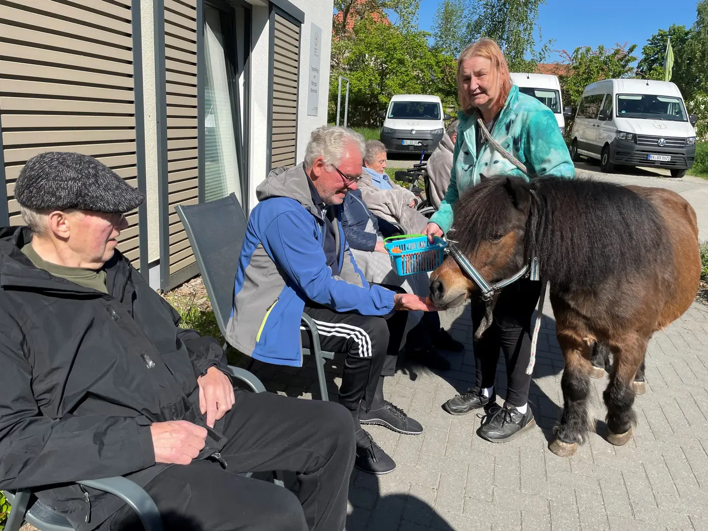 Pony Beienrode