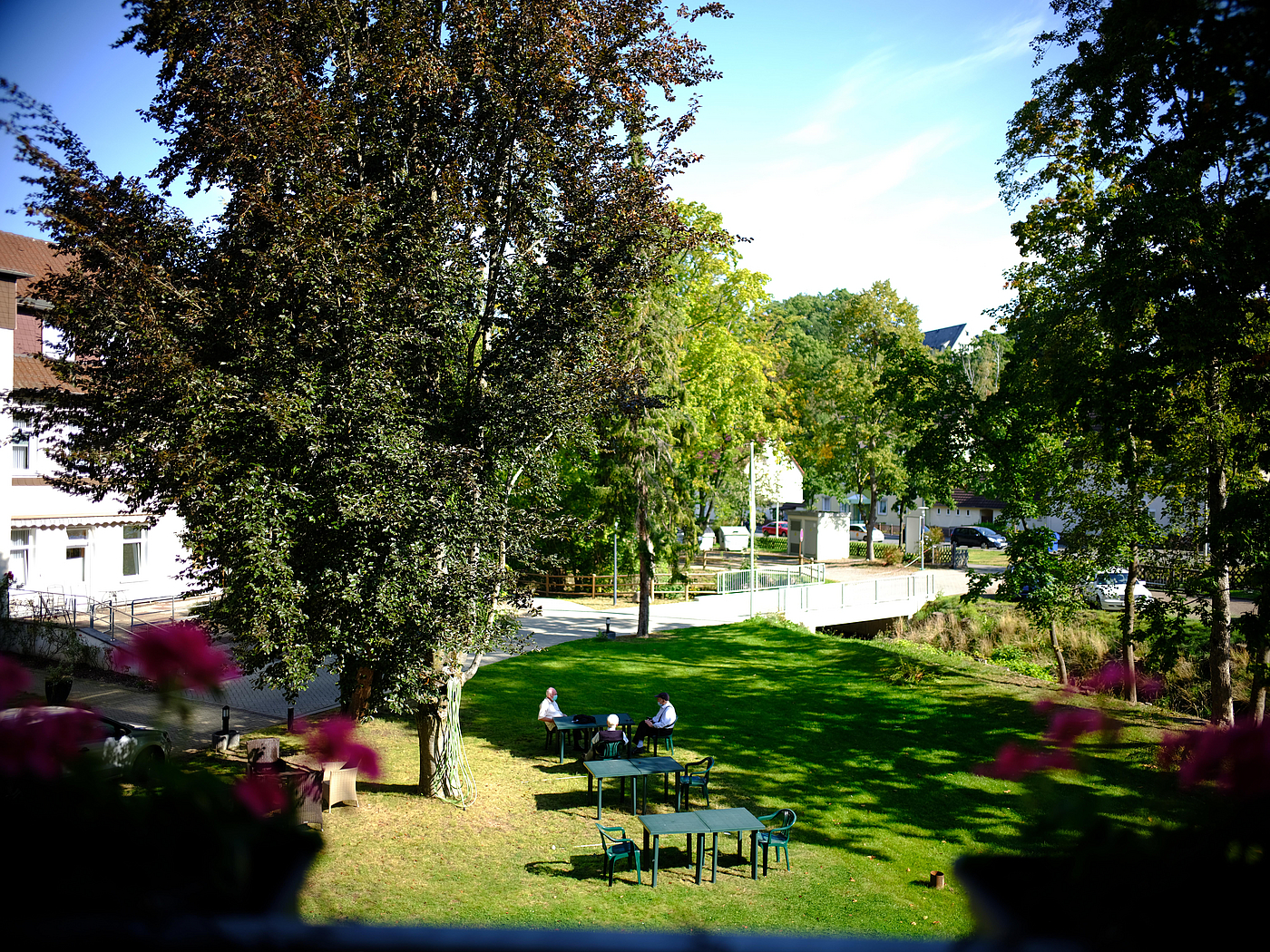 Sicht in den Park