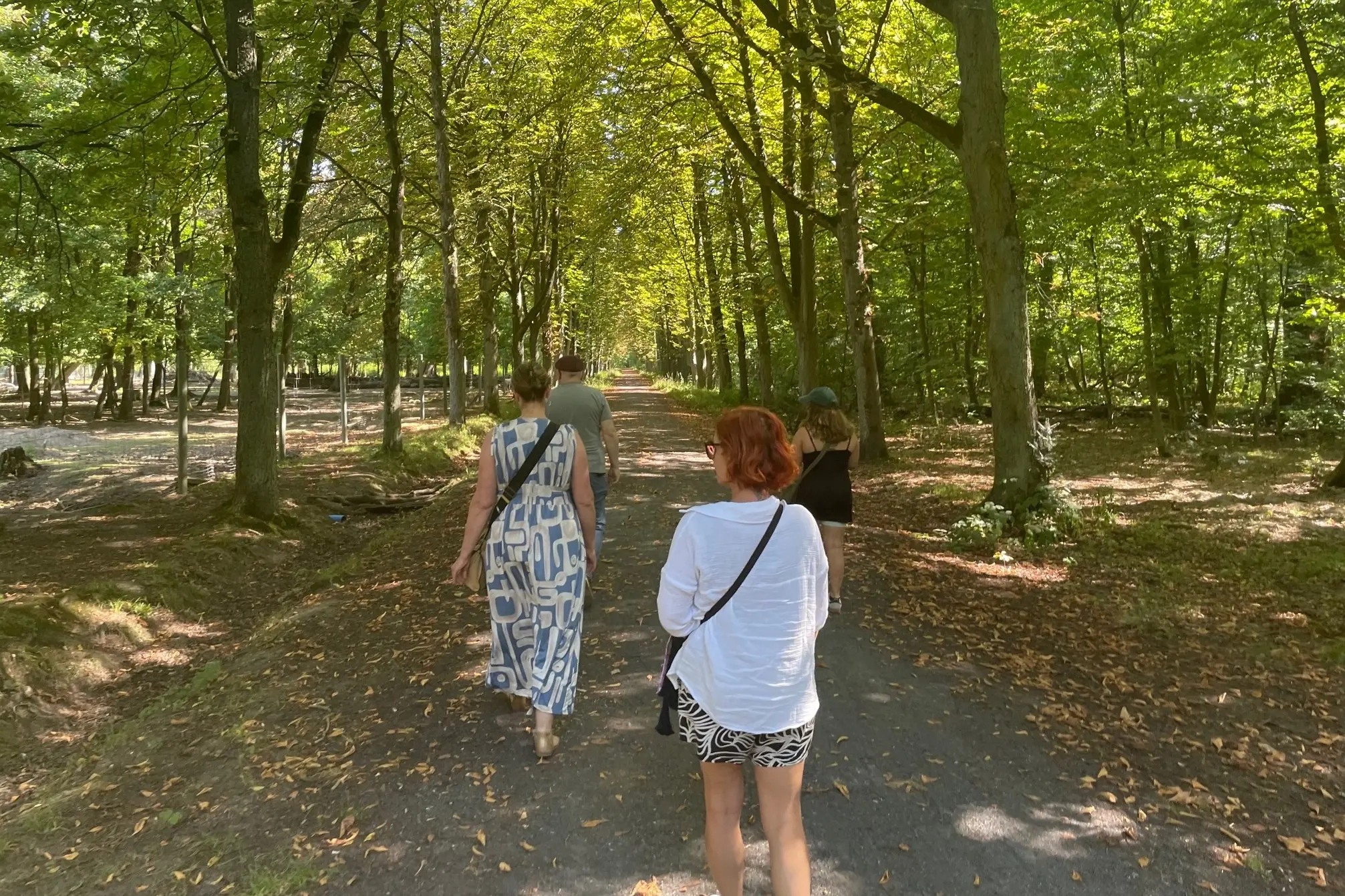 Das Bild zeigt eine Gruppe der DIAPP beim Waldbaden.