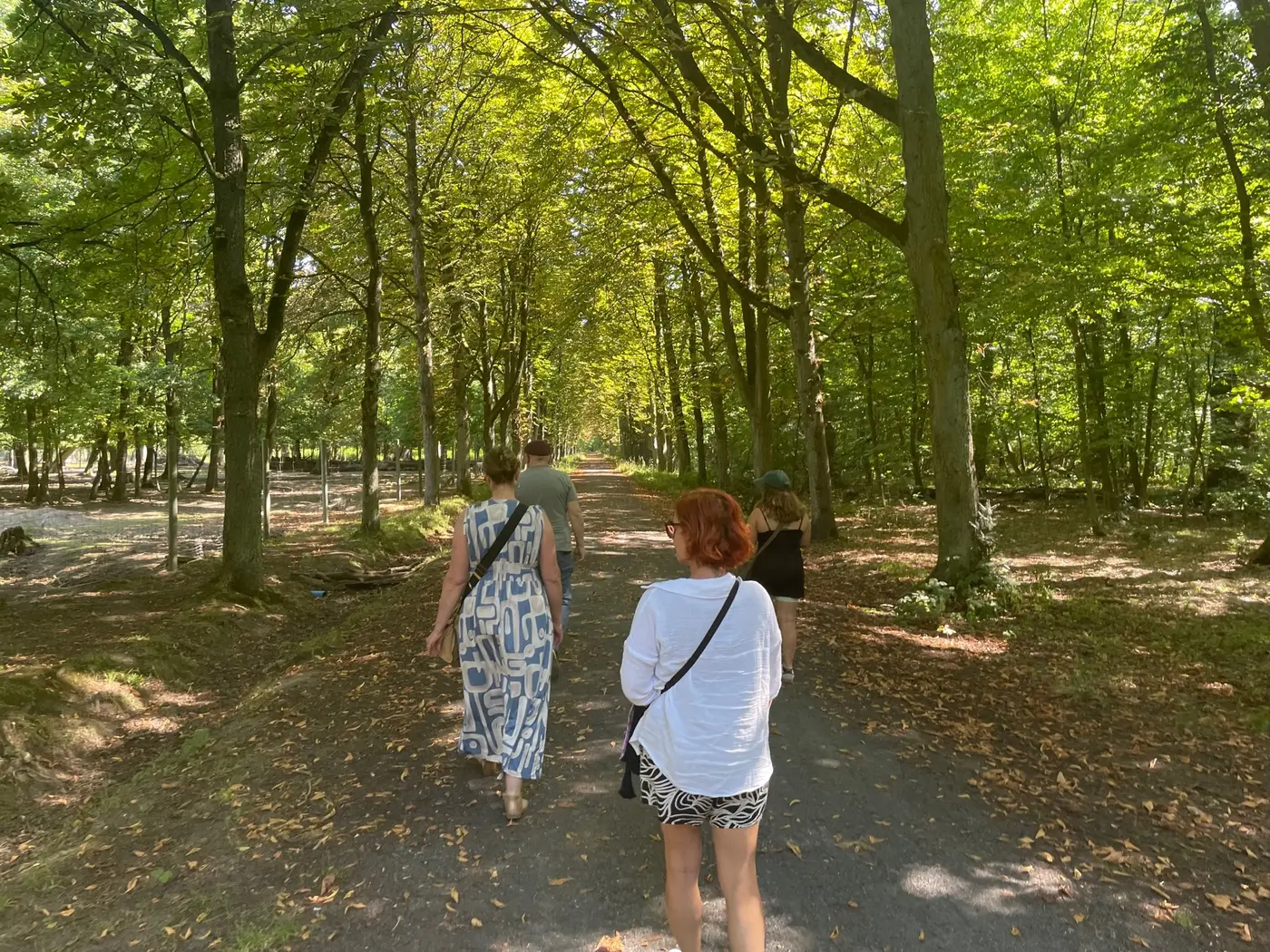 Das Bild zeigt eine Gruppe der DIAPP beim Waldbaden.