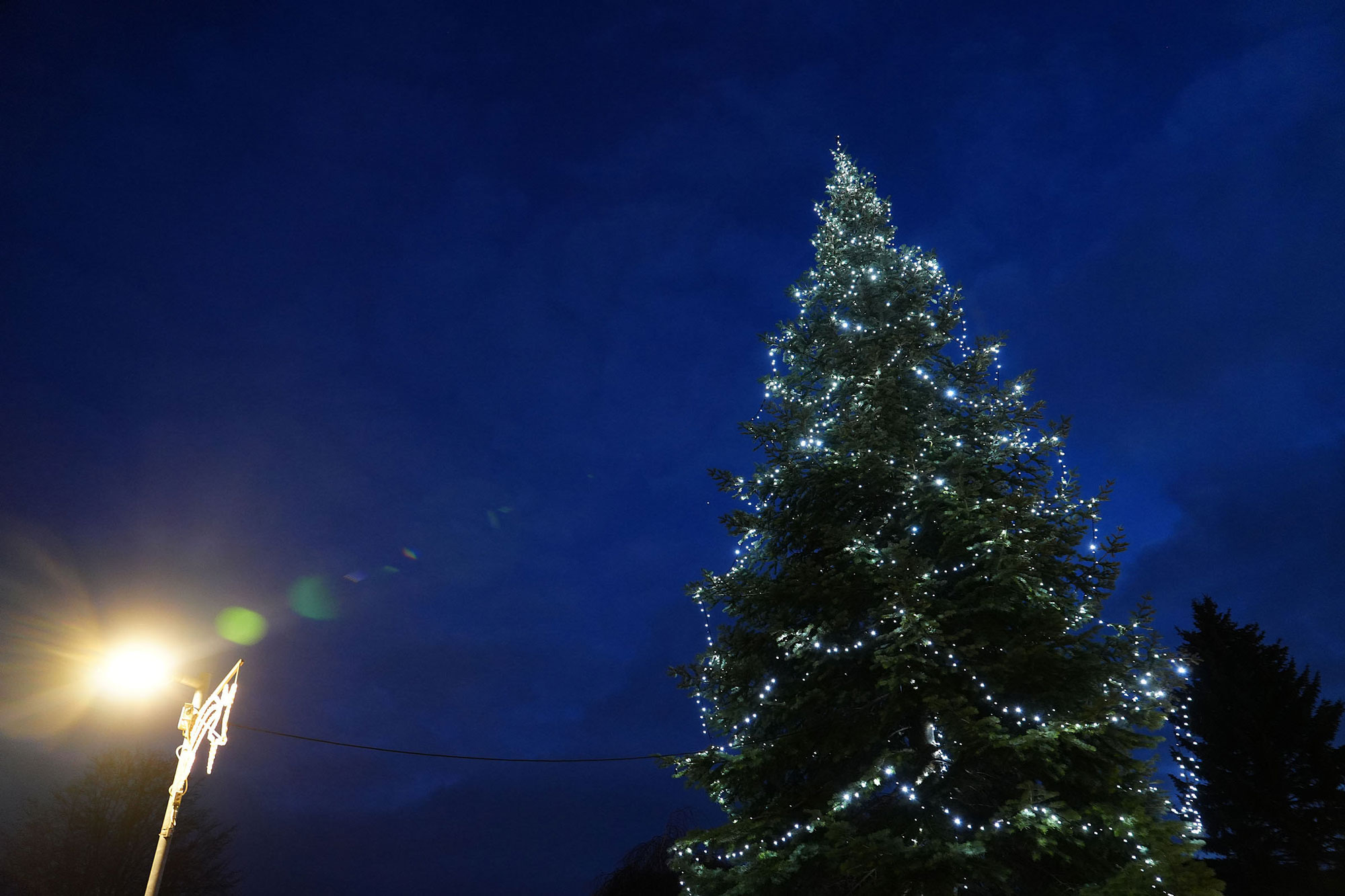 Weihnachtsbaum Neuerkerode